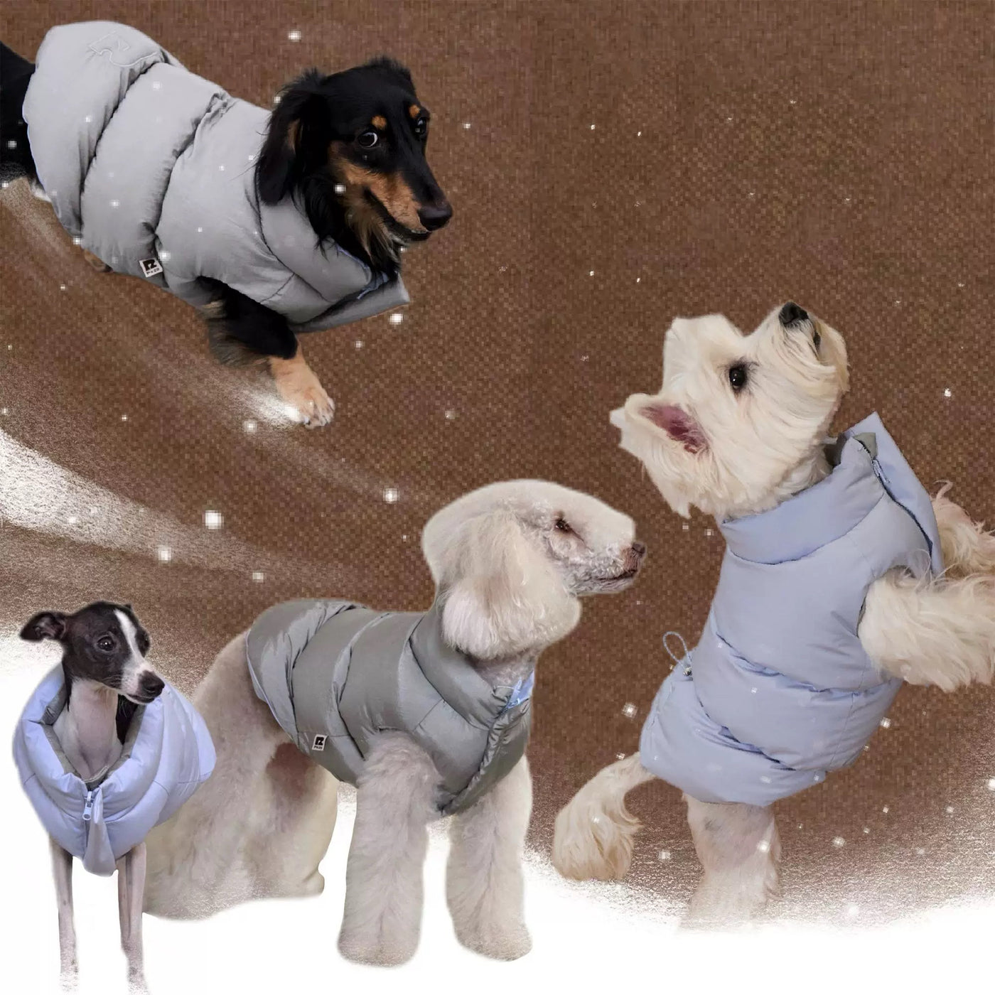 Reversible Dog Puffer Jacket - Blue & Silver Design