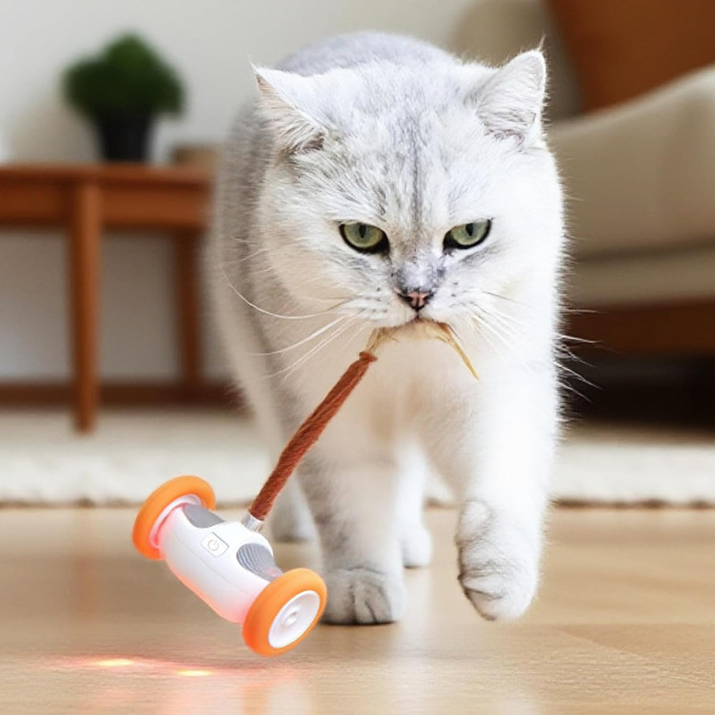Interactive Cat Toy, Automated Moving