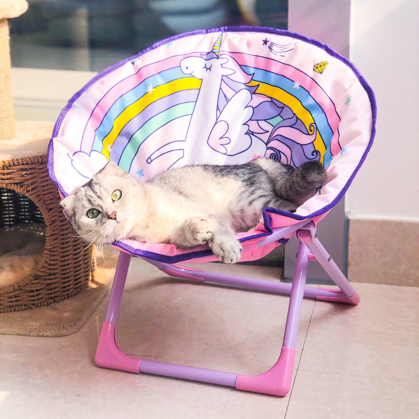 Cat chair, dog chair, Oxford cloth furniture, leisure chair, foldable