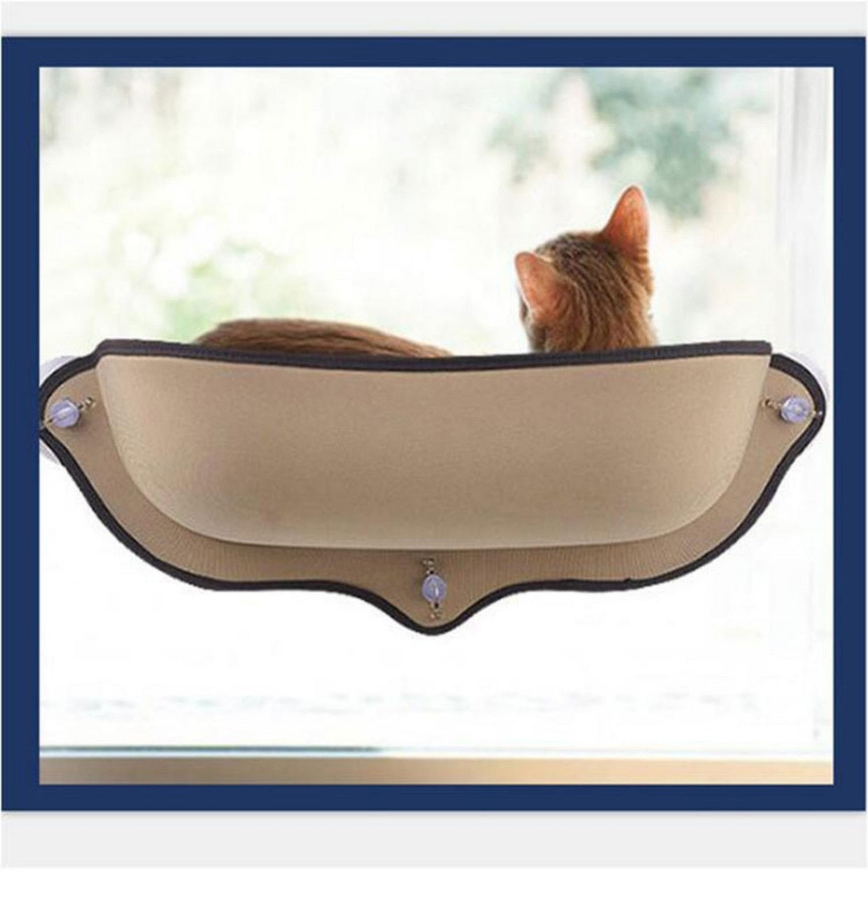 Cat Car Window Perch